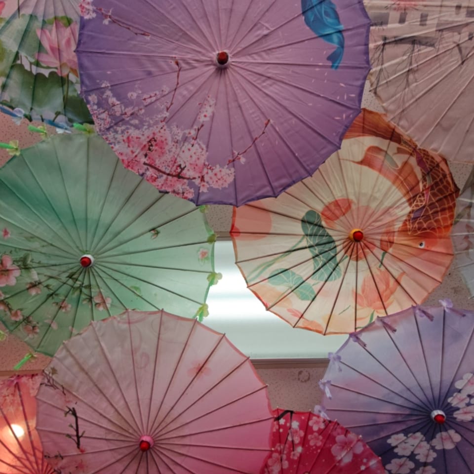 Colorful paper umbrellas with floral and bird designs hang from a ceiling, creating a vibrant display.
